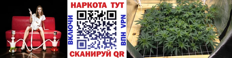 Купить закладку ГАШИШ  МЕТАМФЕТАМИН  Мефедрон  СОЛЬ  Великие Луки