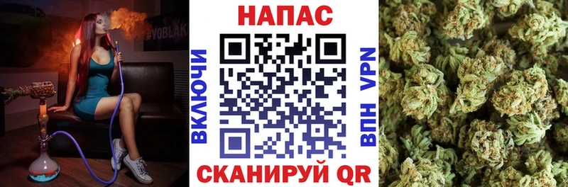 Купить  Великие Луки  Бошки Шишки семена 